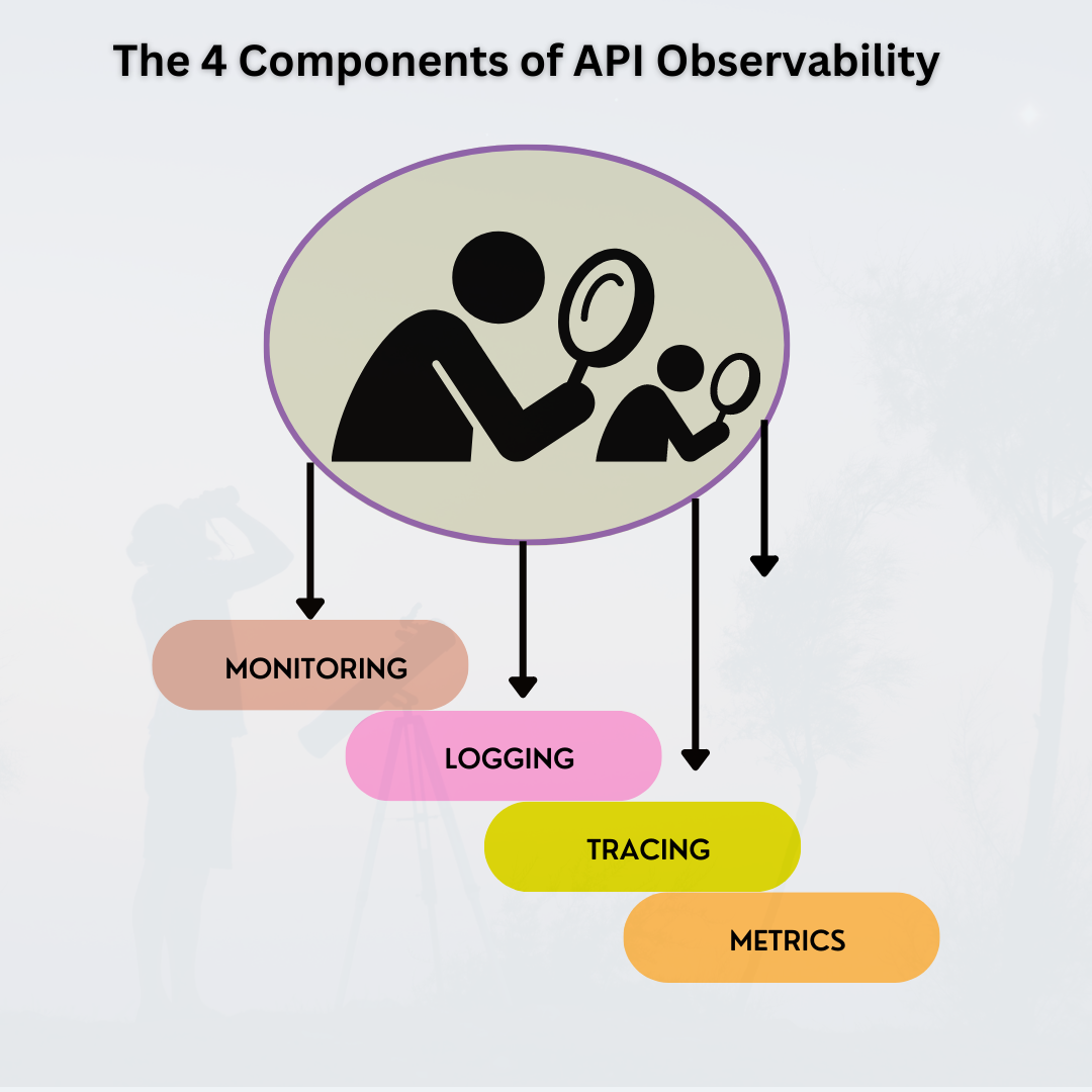 API Observability Infographic